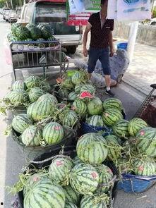 沂水吃瓜网红事件视频